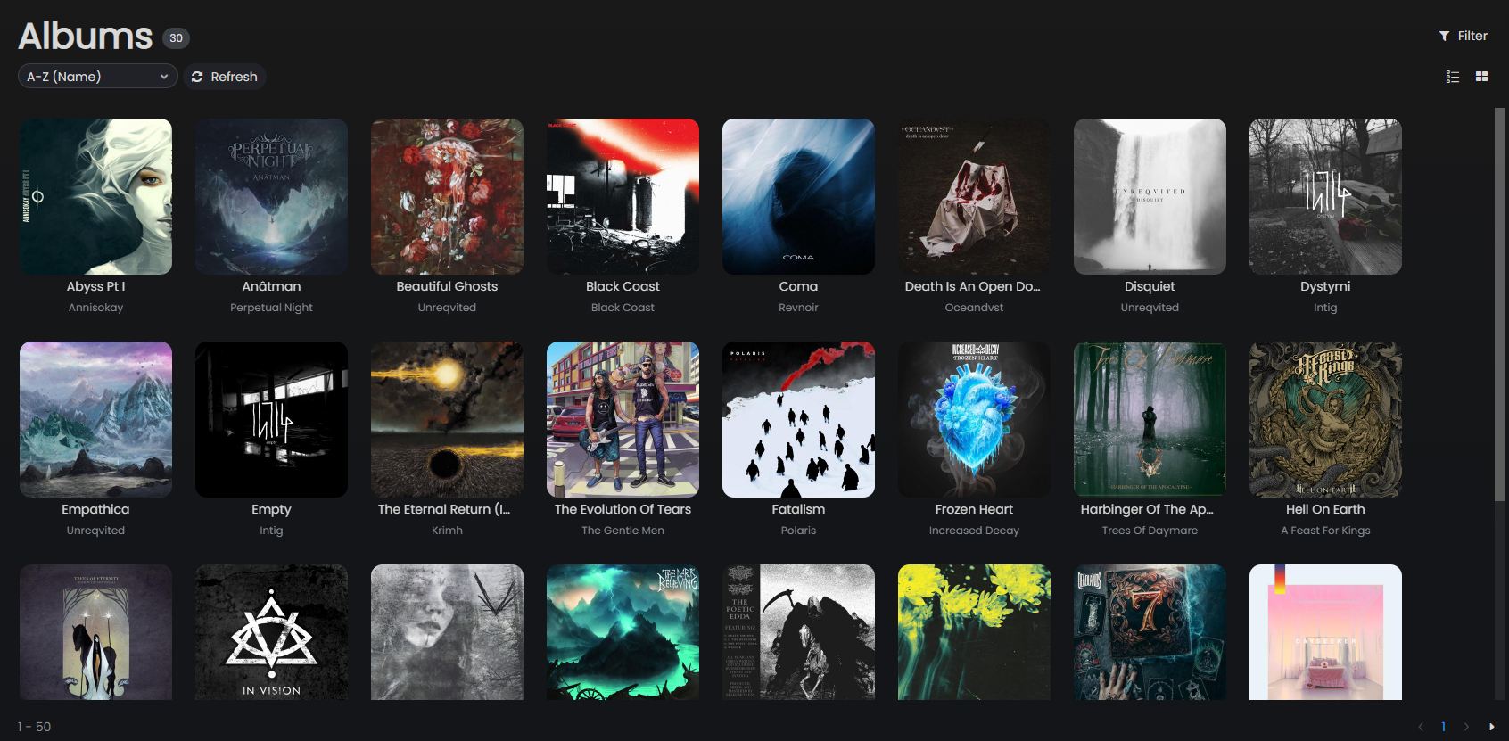 📷 Screenshot: Album grid view